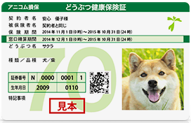 index_im02.png
