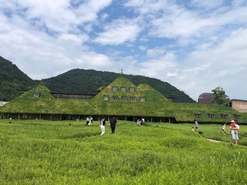 やまもと.jpg