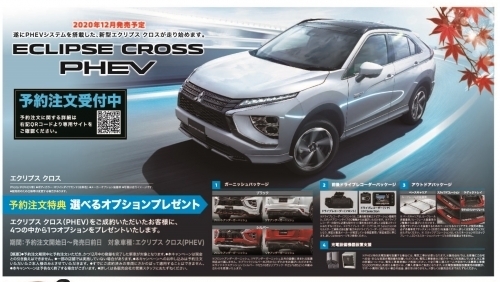 PHEV_hyogo_u.jpgのサムネイル画像