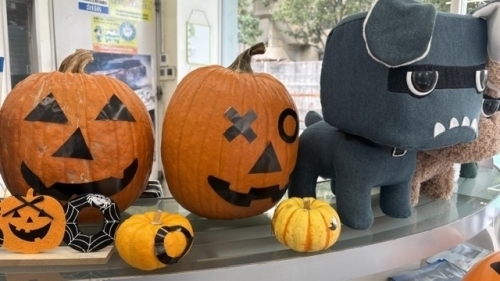 IMG_0753 (002).jpeg