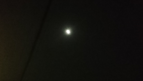 DSC_0597.JPG