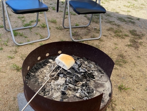 スターキャンプ　焼きマシュマロ.JPG