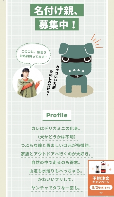 デリカミニ　名づけ.jpg