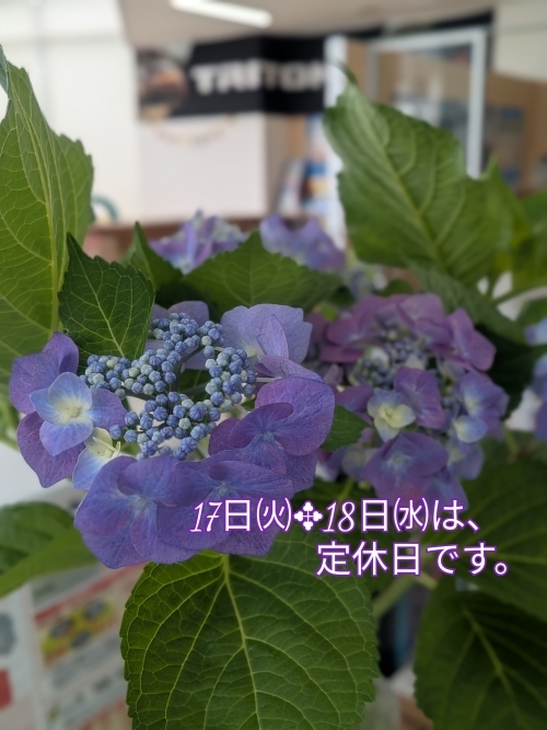 25-06-16-15-20-25-993_deco.jpg