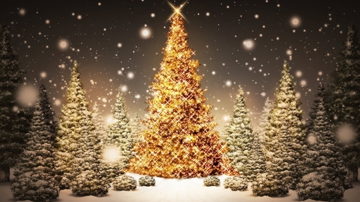 Sparkling-Christmas-Trees_1920x1080.jpg