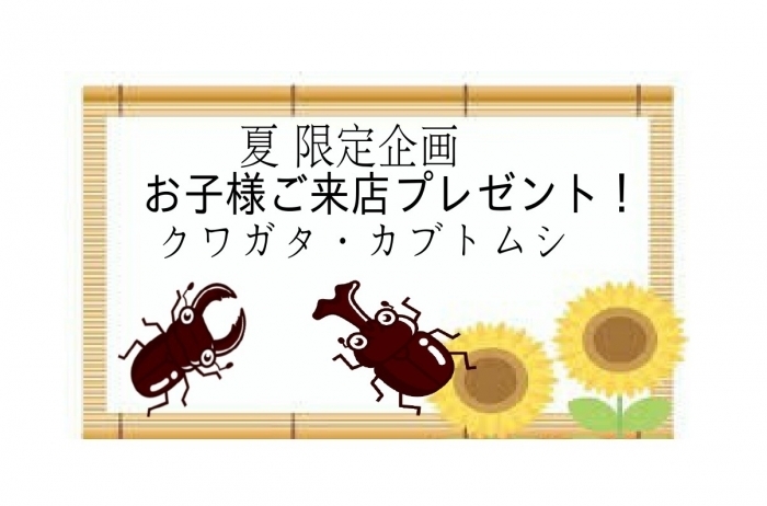 クワガタ・カブトムシ (1).jpg