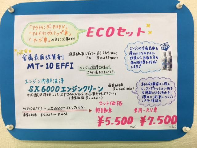 eco0113.JPG
