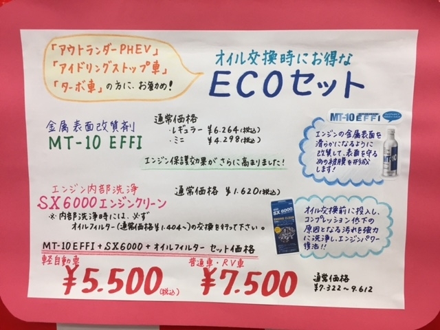 eco10161.JPG