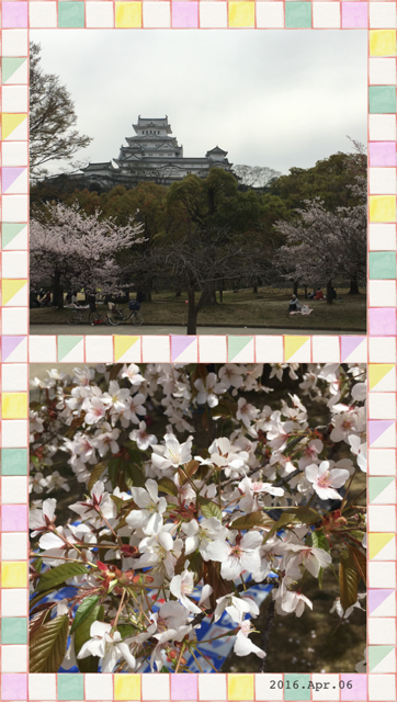 sakura0408.png