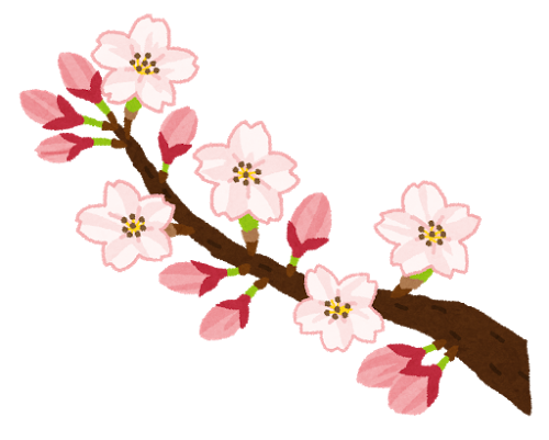 sakura2.png