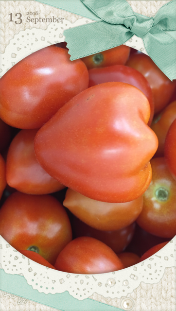 tomato0913.png
