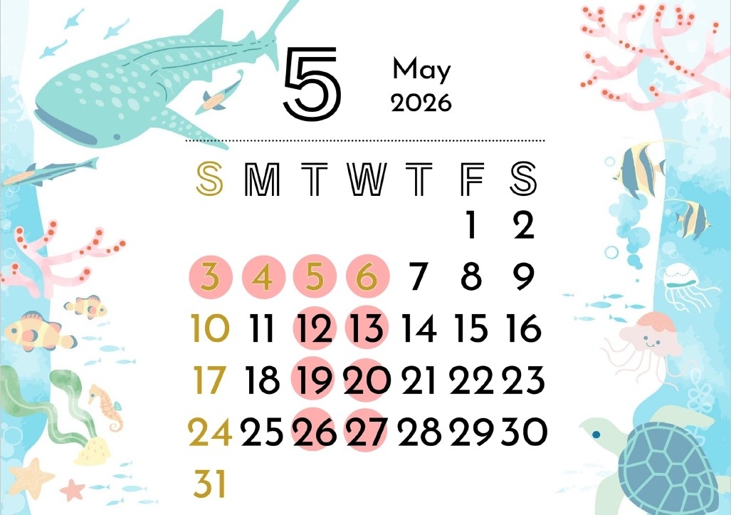 Screenshot 2026-04-30 161342.jpg