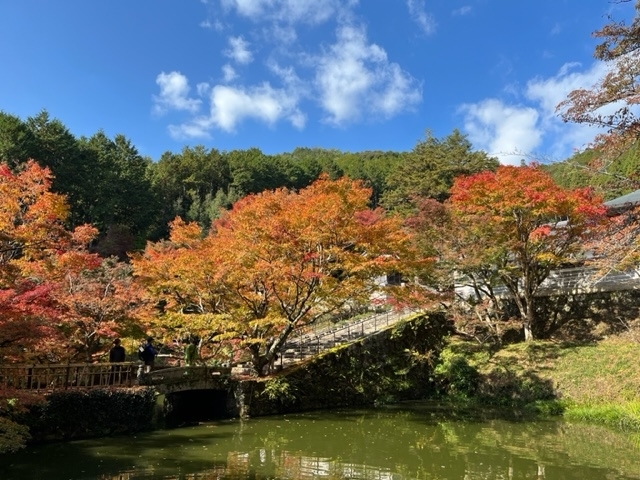 圓通寺①2211.jpeg