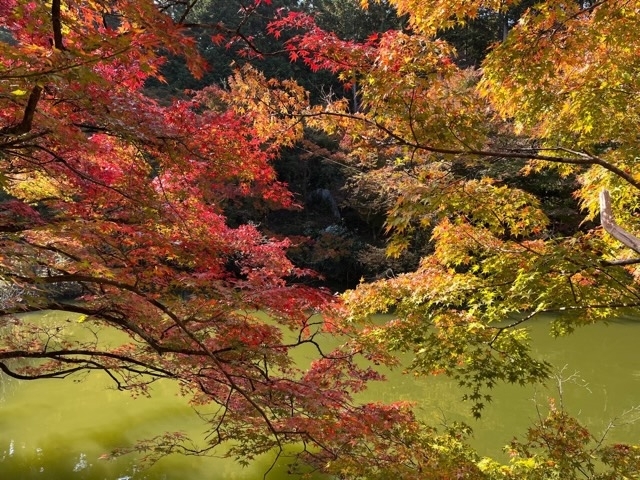 圓通寺②2211.jpg