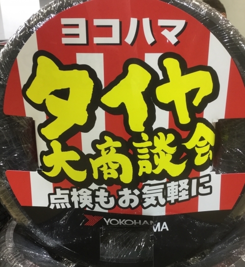 yoko.jpg