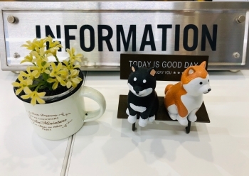 犬.jpg