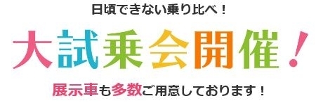 大試乗会　文字.JPG