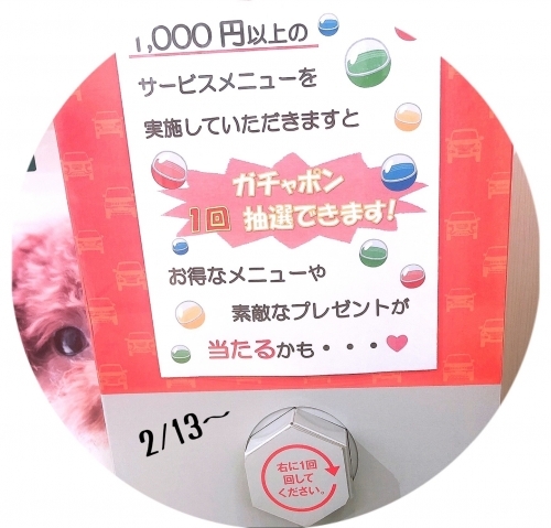 ガチャポン企画.jpg