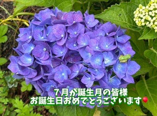 IMG_1722.jpg