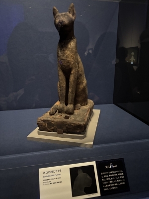 ミイラ猫の.jpeg