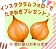 たまねぎ.jpg