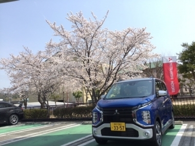 桜満開IMG_0190.jpg