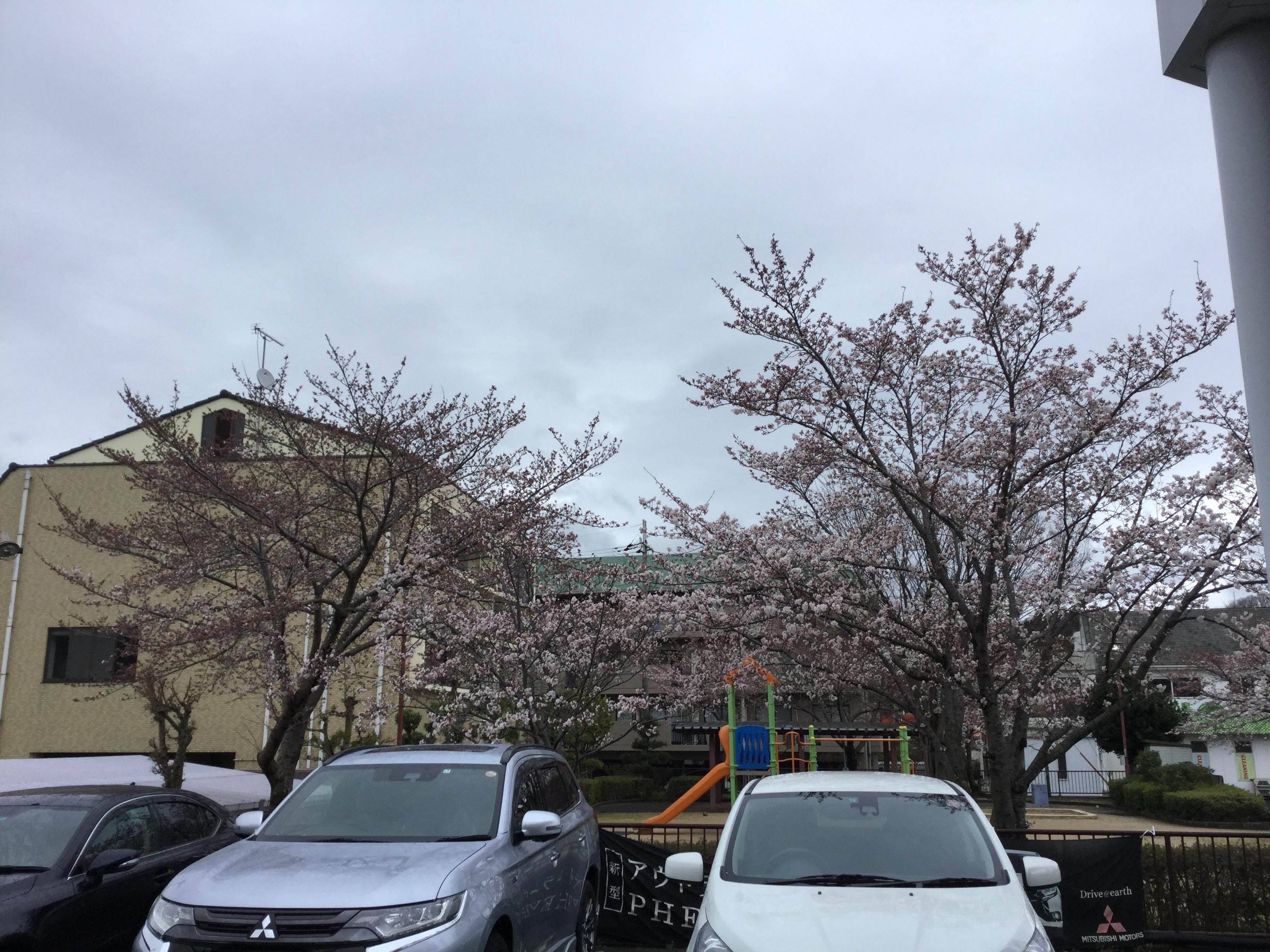 https://www.hyogo-mitsubishi.com/shop/hokushinsanda/files/IMG_0033.JPG