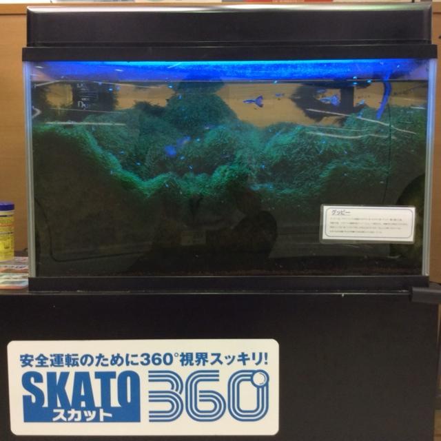 https://www.hyogo-mitsubishi.com/shop/hokushinsanda/files/_gp2_.JPG