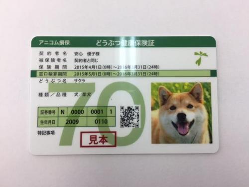 ペット保険.JPG