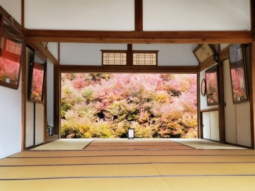 安国寺②.jpg