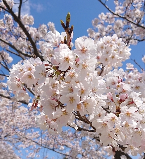 CFFDAE6C-3214-45BE-AFD9-A2A09234A00F.jpeg