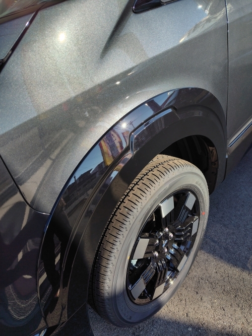 260112092218017 (002).JPG