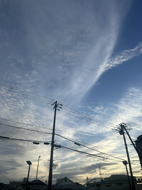 IMG_6228.jpeg