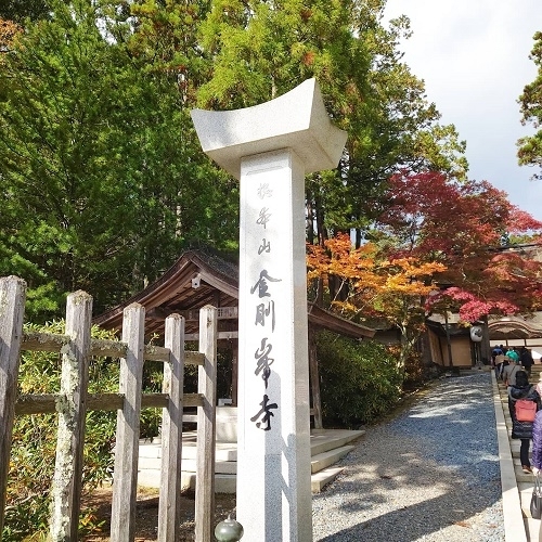 高野山金剛峰寺.jpg