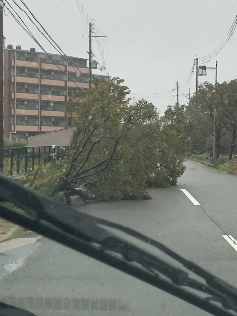 image1.jpeg