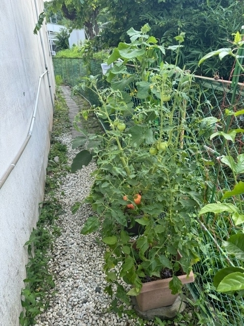 image0.jpeg