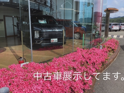 8BEE45A3-69C2-4EC7-A3E2-0649ECE4F821.JPG