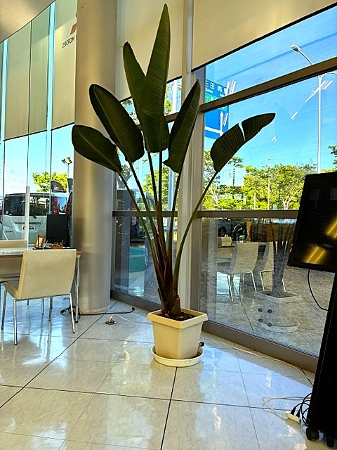 image1.jpeg