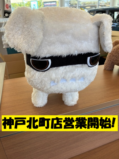 image0.png