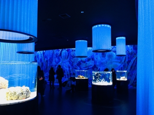 写真 2018-01-31 11 48 49.jpg