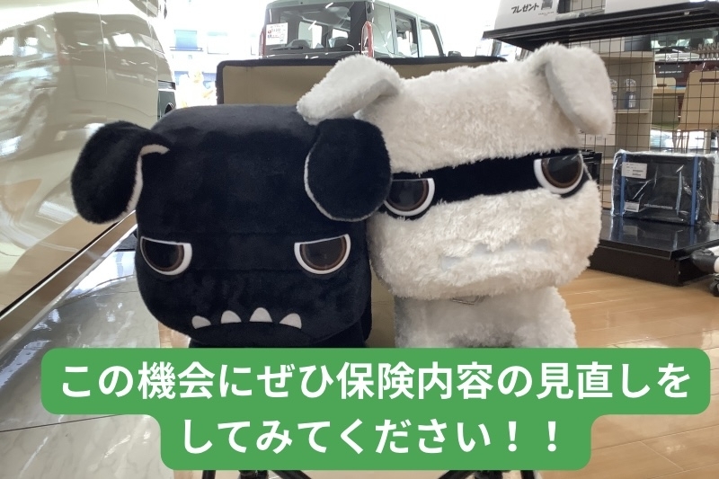 IMG_0678.jpeg
