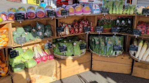 野菜.jpg