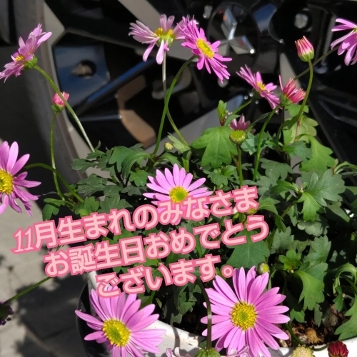 誕生日11月.jpg