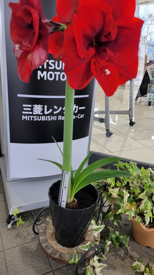 2024.4.24.1.jpg