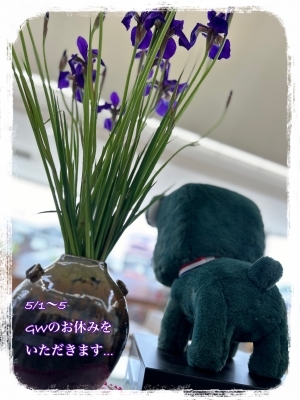IMG_7077.JPG