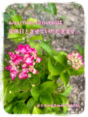 IMG_8238.JPG
