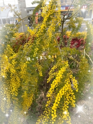 IMG_6389.JPG
