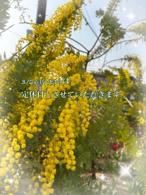 IMG_6417.JPG