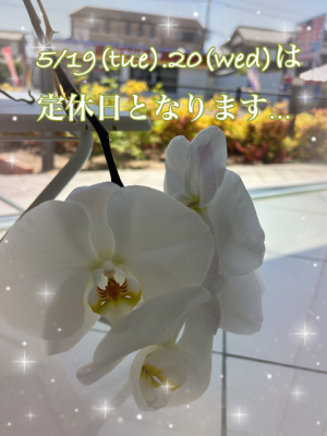 IMG_7505 (002).PNG