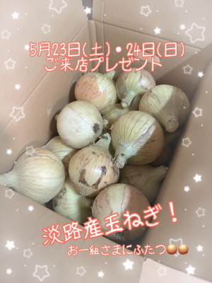 IMG_7597 (002).PNG